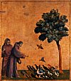St. Assisi And Birds